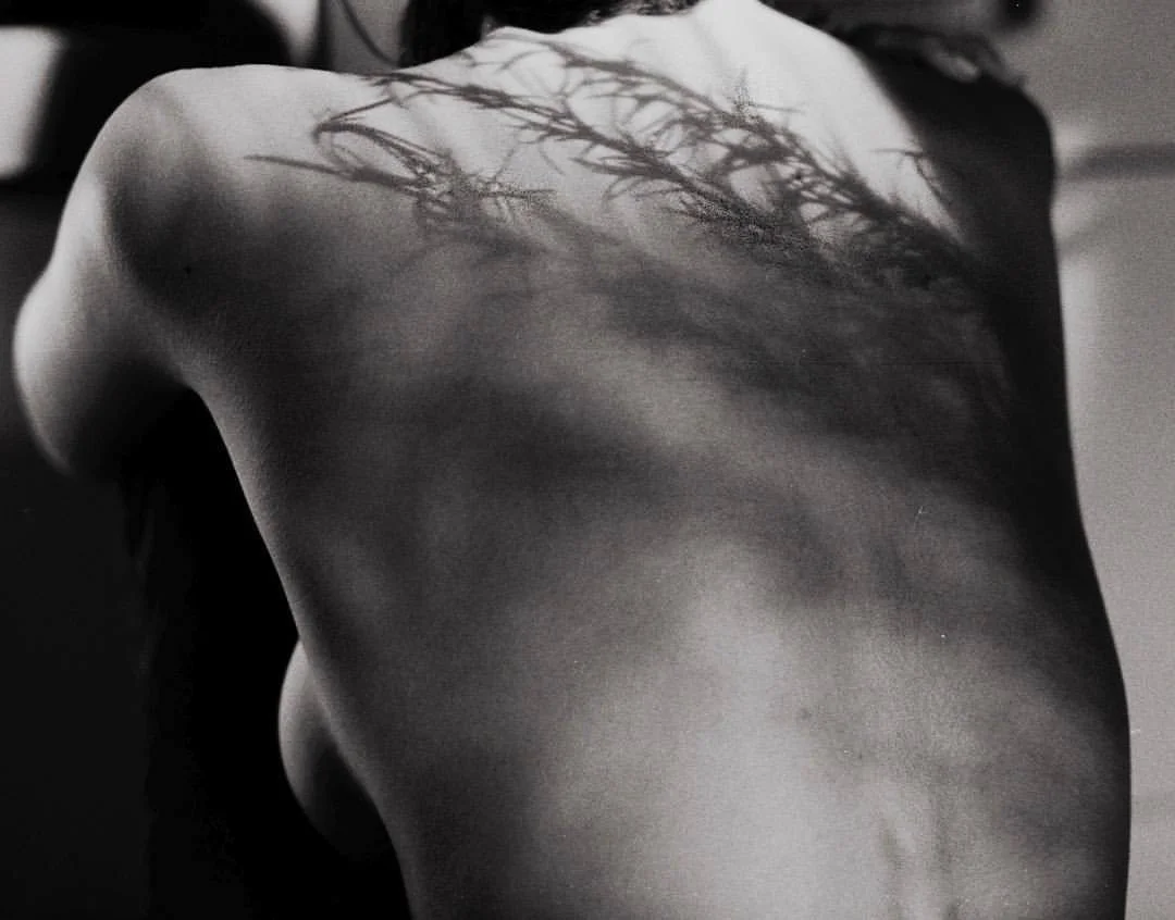 A close-up black and white photograph of a person's bare back, showcasing intricate shadows that resemble thorny vines or branches. The play of light and shadow creates a dramatic effect, emphasizing the contours of the back and the delicate details of the shadow pattern. The person's arms are partially visible, adding to the sense of intimacy in the image.